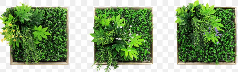 Green Wall Wall Decal Picture Frames Painting, PNG, 1274x391px, Green Wall, Decorative Arts, Garden, Grass, Grass Family Download Free