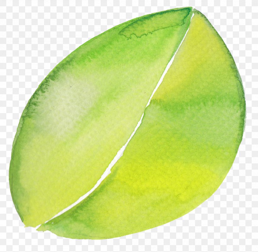 Lime, PNG, 1204x1178px, Lime, Fruit, Leaf Download Free