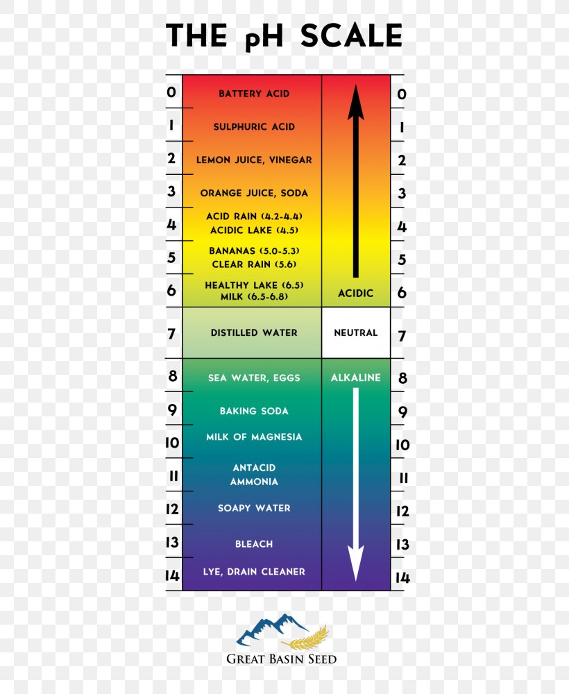 PH Alkali Soil Acid Seawater, PNG, 499x1000px, Alkali, Acid, Alkali Soil, Area, Paper Download Free