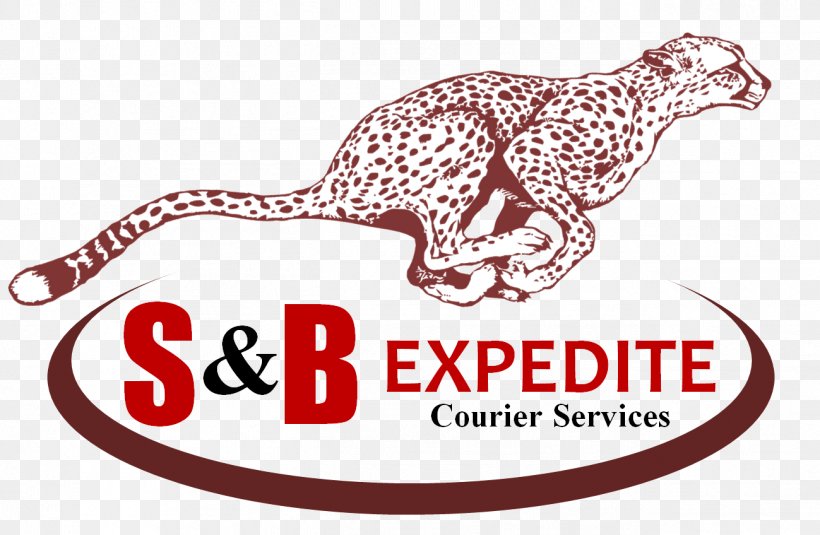 S&B Expedite Courier Delivery Brand Customer, PNG, 1299x848px, Sb Expedite, Area, Biobased Maine, Brand, Business Download Free