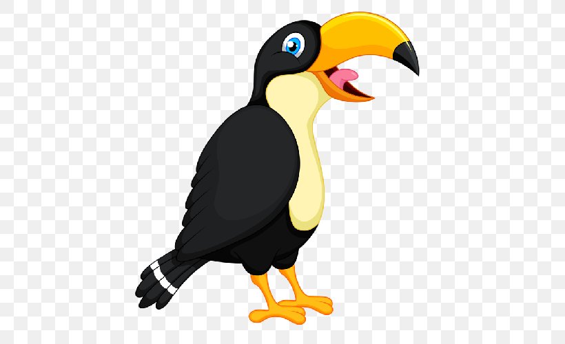 Toucan Bird Parrot Beak Clip Art, PNG, 500x500px, Toucan, Acridotheres, Animal, Beak, Bird Download Free