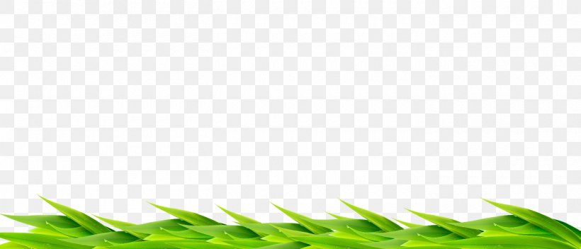 Angle Tree Leaf Pattern, PNG, 1400x600px, Tree, Grass, Green, Leaf, Plant Download Free