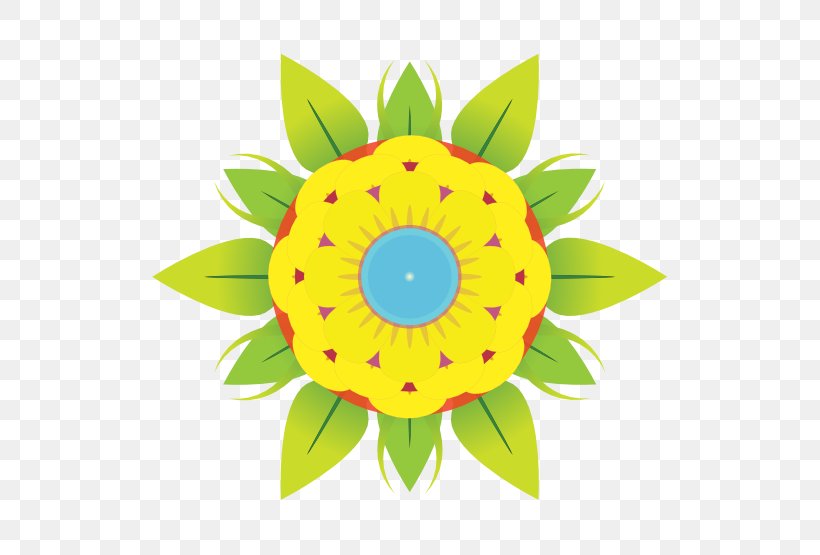 Floral Design Daisy Family Fruit, PNG, 555x555px, Pdf, Clock, Computer Network, Daisy Family, Floral Design Download Free