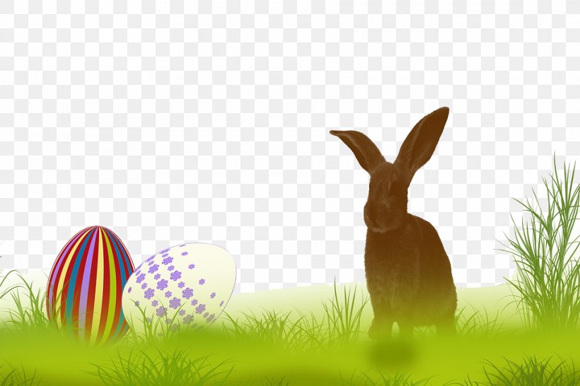 Easter Bunny Rabbit Hare Wallpaper, PNG, 960x640px, Easter Bunny, Easter, Grass, Hare, Meadow Download Free