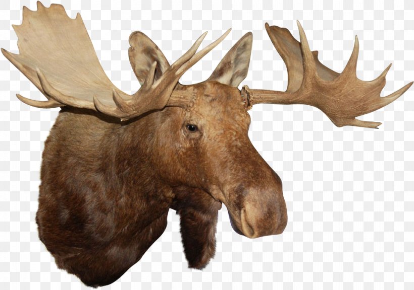 Reindeer Clip Art Image, PNG, 960x675px, Deer, Alaska Moose, Animal Figure, Antler, Elk Download Free