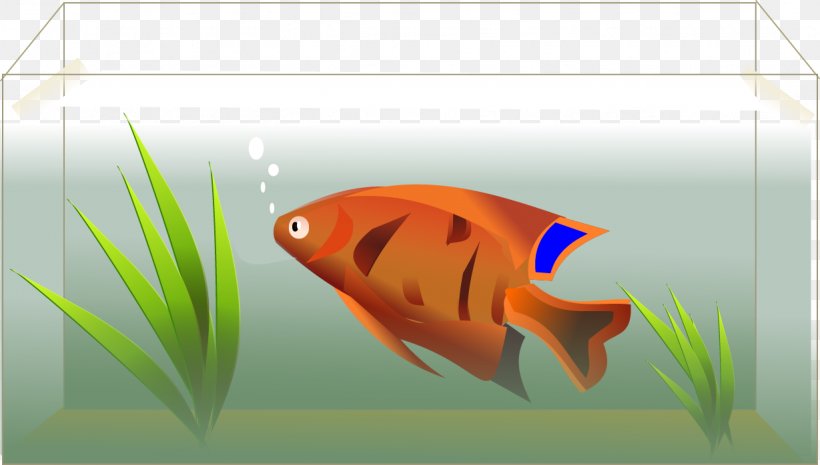 Angelfish Clip Art, PNG, 1229x698px, Angelfish, Coral Reef Fish, Fauna, Fish, Free Content Download Free