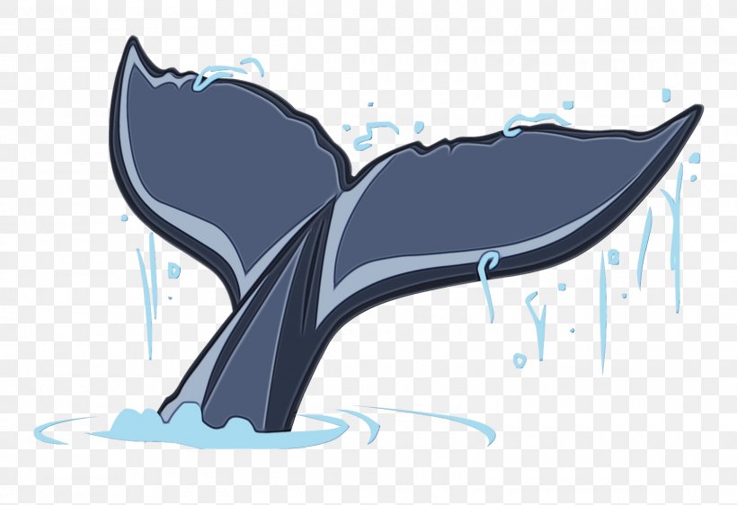 Cartoon Illustration Tiger Shark Dolphin, PNG, 1600x1098px, Cartoon, Art, Dolphin, Drawing, Fictional Character Download Free