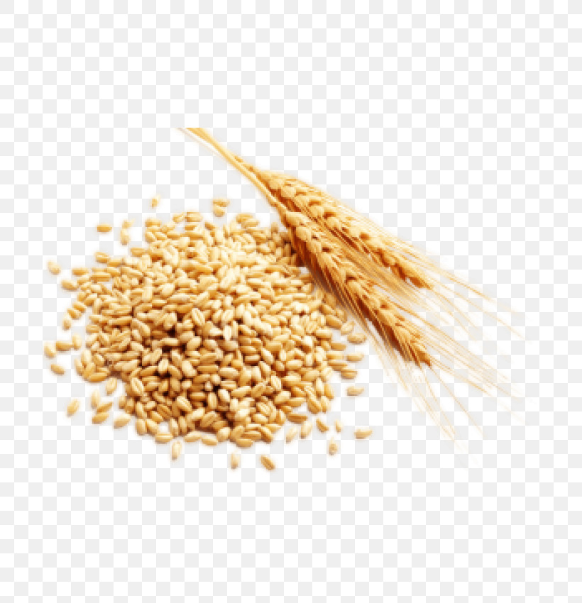 Wheat, PNG, 700x850px, Food, Amaranth Grain, Barley, Bulgur, Cereal Download Free