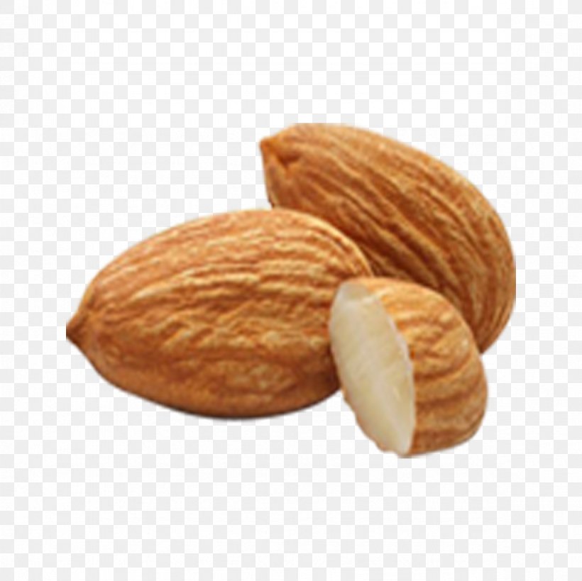 Almond Amygdalin Nut Apricot Kernel Seed, PNG, 1181x1181px, Almond, Almond Meal, Almond Oil, Amygdalin, Apricot Kernel Download Free