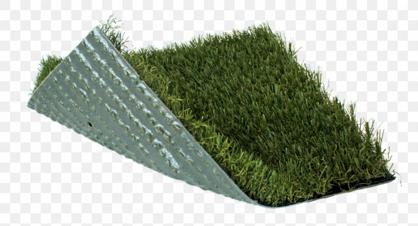 Artificial Turf Lawn Garden Sod Fescues, PNG, 1140x619px, Artificial Turf, Annual Plant, Color, Fescues, Garden Download Free