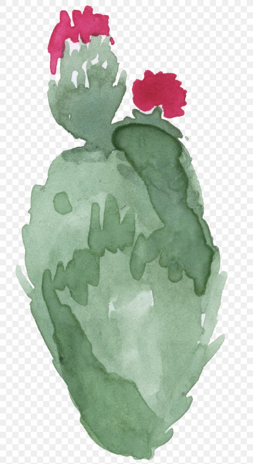Illustration, PNG, 2133x3914px, Watercolor Painting, Cactaceae, Green, Leaf, Organism Download Free
