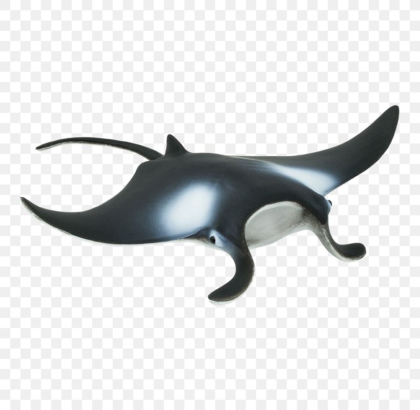 Shark Safari Ltd Animal Figurine Giant Oceanic Manta Ray, PNG, 800x800px, Shark, Animal, Animal Figurine, Batoidea, Cartilaginous Fish Download Free