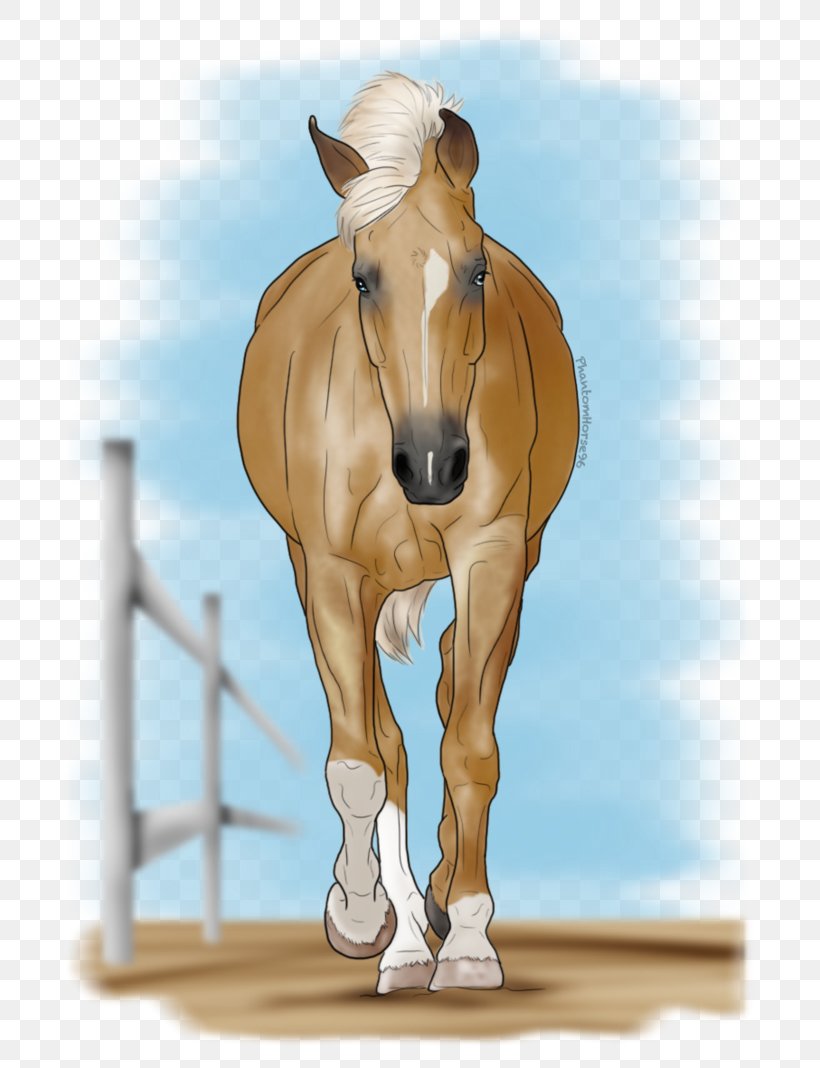 Stallion Mustang Foal Mare Pony, PNG, 748x1068px, Stallion, Bit, Bridle, Foal, Halter Download Free