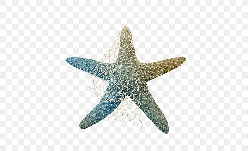 Starfish Clip Art, PNG, 500x500px, Starfish, Echinoderm, Ico, Invertebrate, Marine Invertebrates Download Free