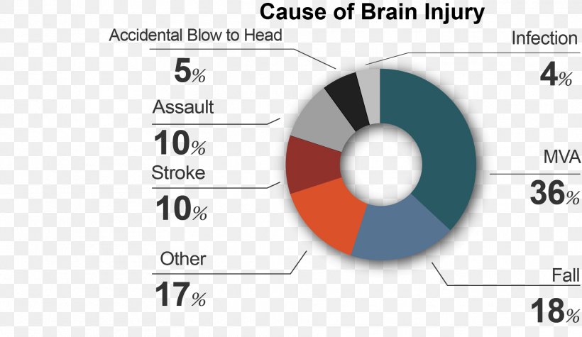 Brain Injury Services Brand, PNG, 1865x1081px, Brain Injury, Area, Asset, Brain, Brand Download Free