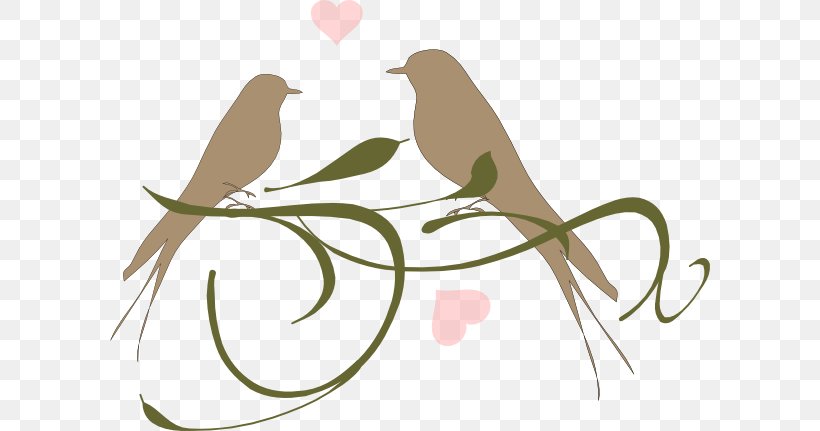 Lovebird Clip Art Vertebrate, PNG, 600x431px, Watercolor, Cartoon, Flower, Frame, Heart Download Free