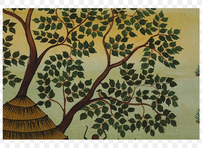 Nilgiris District Flora Fauna Painting Kuruba, PNG, 800x600px, Nilgiris District, Branch, Fauna, Flora, Hills Download Free
