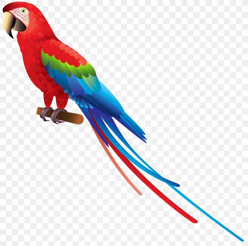 Bird True Parrot Amazon Parrot Clip Art, PNG, 3296x3282px, Bird, Amazon Parrot, Beak, Color, Common Pet Parakeet Download Free