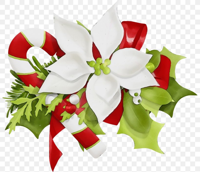 Holly, PNG, 800x703px, Watercolor, Anthurium, Bouquet, Cut Flowers, Flower Download Free