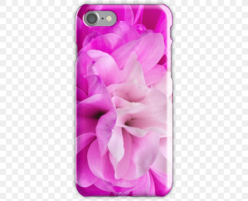 Pink M Mobile Phone Accessories RTV Pink Mobile Phones IPhone, PNG, 500x667px, Pink M, Flower, Flowering Plant, Iphone, Lilac Download Free