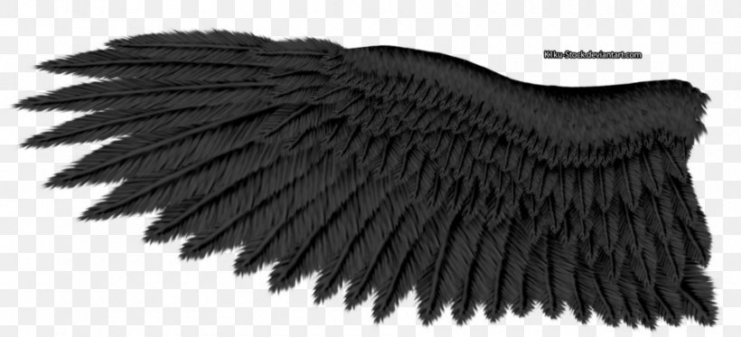 Bald Eagle Eagle Wing Tours Golden Eagle, PNG, 900x410px, Bald Eagle, Art, Bird, Black, Black And White Download Free