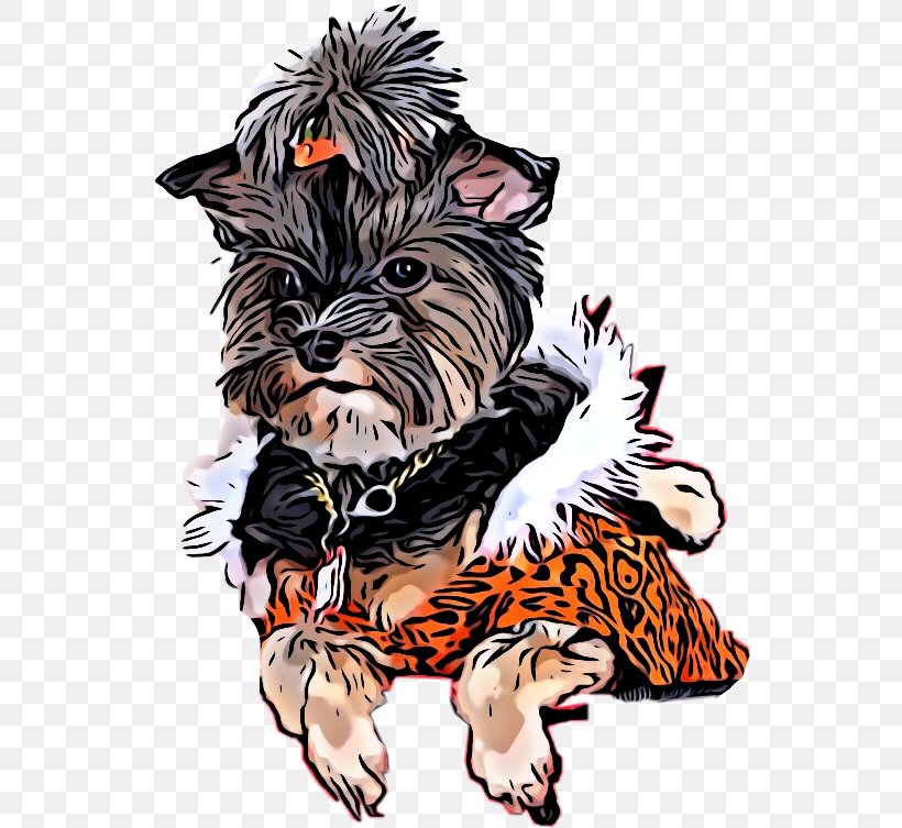 Dog Drawing, PNG, 546x753px, Yorkshire Terrier, Affenpinscher, Cairn Terrier, Cartoon, Cuteness Download Free