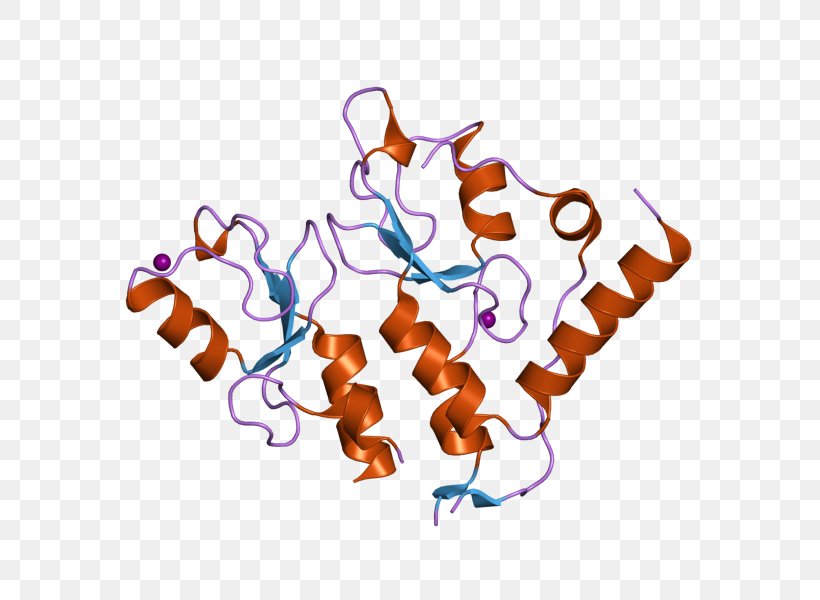 European Bioinformatics Institute BMI1 Protein RNF2, PNG, 800x600px, Bioinformatics, Bmi1, European Bioinformatics Institute, Finger, Gene Download Free