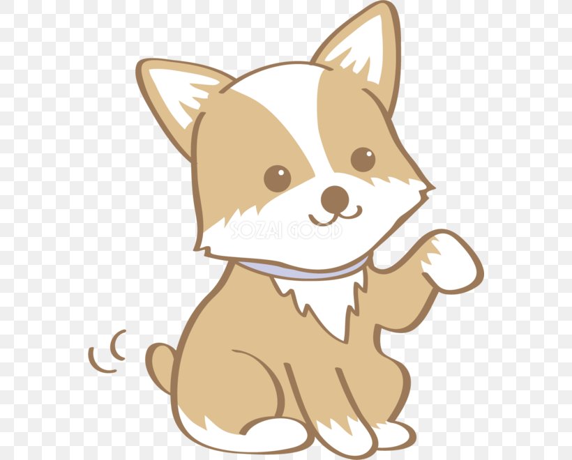 Whiskers Puppy Dog Breed Pembroke Welsh Corgi Toy Dog, PNG, 568x660px, Whiskers, Animal, Carnivoran, Cat, Cat Like Mammal Download Free