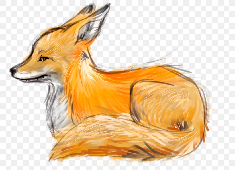 Drawing Fox Art Sketch, PNG, 800x595px, Drawing, Animal, Animation, Art, Canidae Download Free