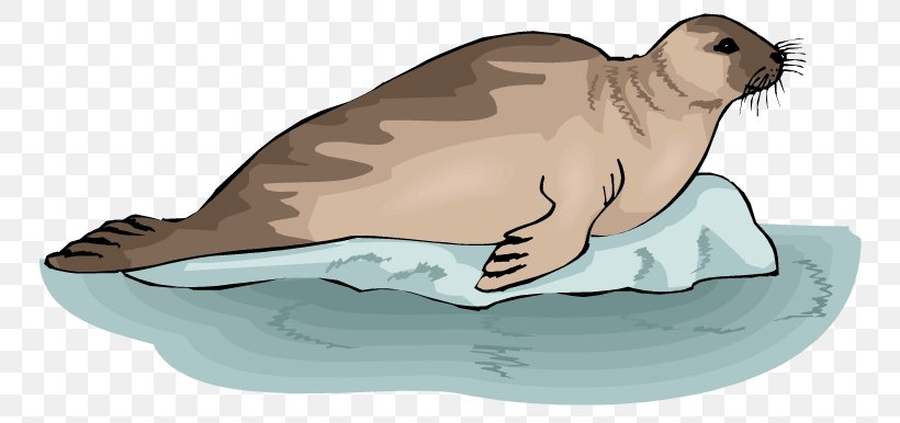 Earless Seal Sea Lion Harp Seal Clip Art, PNG, 750x386px, Earless Seal, Animal Figure, Artwork, Beak, Carnivoran Download Free