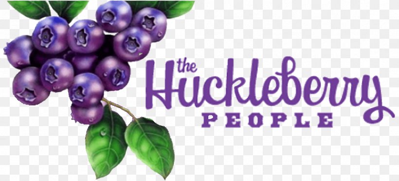 Berries Huckleberry Food Grape, PNG, 1105x503px, Berries, Berry, Food, Fruit, Grape Download Free