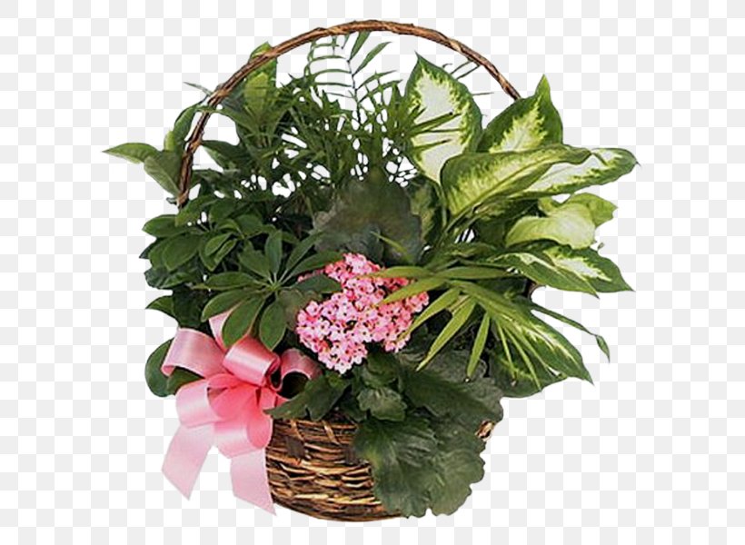 Cut Flowers Flowering Plant Rose, PNG, 600x600px, Cut Flowers, Annual Plant, Floral Design, Floristry, Flower Download Free