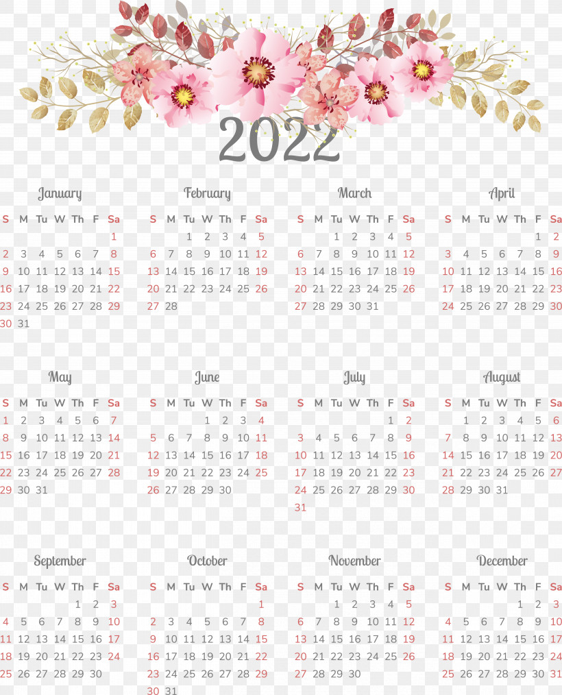 Calendar Font Flower 2011, PNG, 5216x6451px, Calendar, Flower Download Free