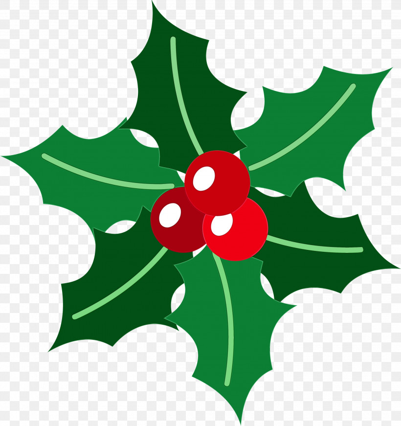 Holly, PNG, 2823x3000px, Holly, American Holly, Christmas Ornament, Flower, Leaf Download Free