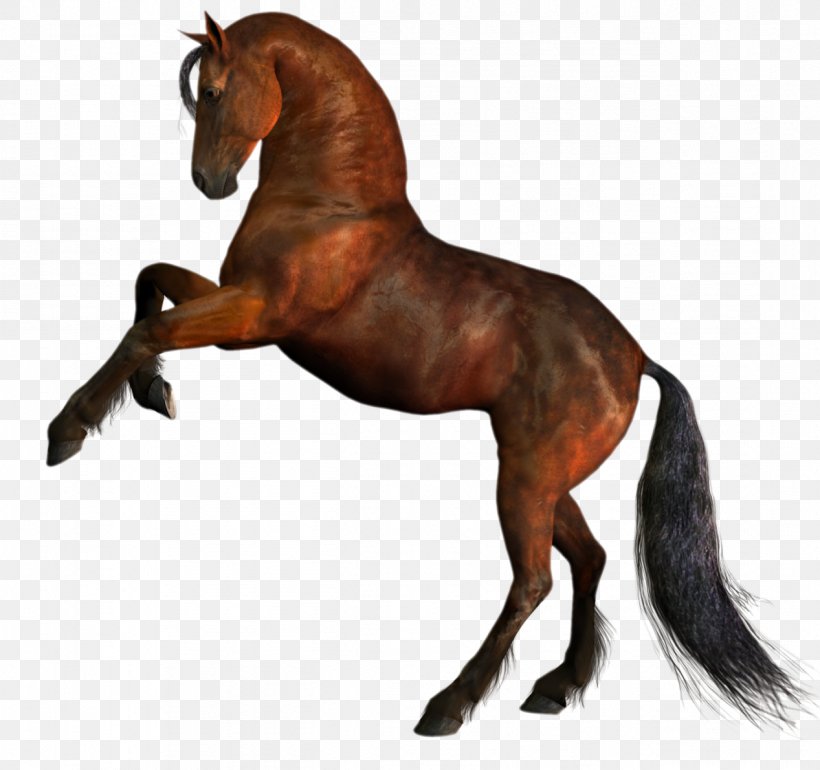 Horse Stallion Clip Art, PNG, 1267x1190px, Horse, Animal Figure, Bit, Horse Like Mammal, Horse Supplies Download Free