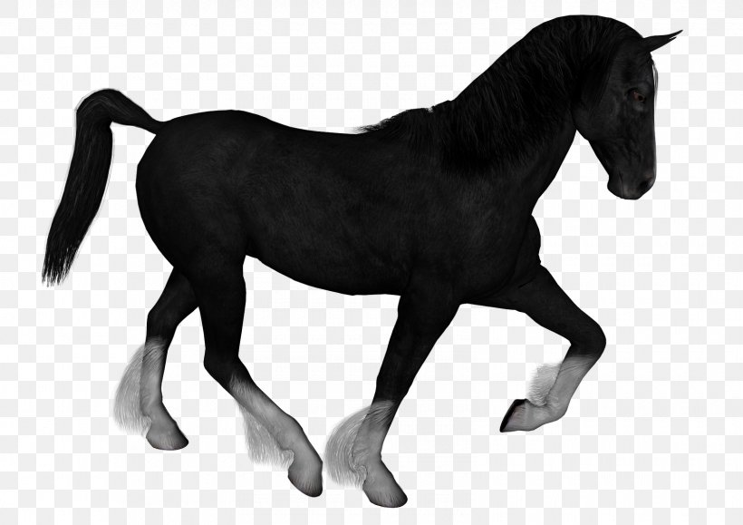 Mustang Stallion Clip Art Image Foal, PNG, 1600x1131px, Mustang, Animal, Animal Figure, Black And White, Bridle Download Free