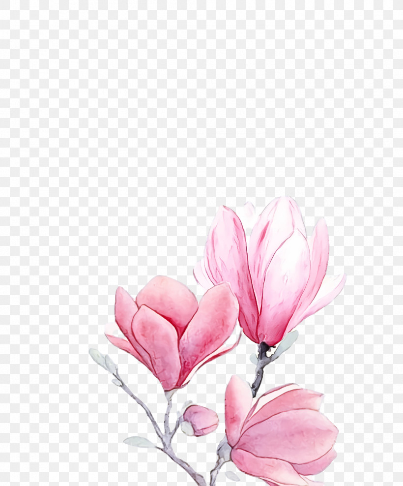 Spring Flower Spring Floral Flowers, PNG, 1058x1276px, Spring Flower, Blossom, Chinese Magnolia, Cut Flowers, Flower Download Free