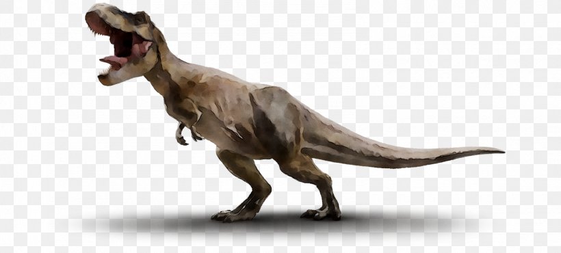 Tyrannosaurus Velociraptor Brachiosaurus Triceratops Stegosaurus, PNG, 1584x716px, Tyrannosaurus, Animal Figure, Brachiosaurus, Dinosaur, Extinction Download Free
