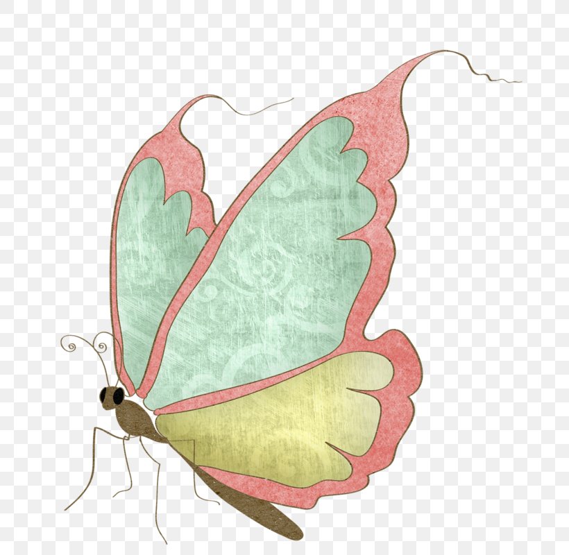 Butterfly Cartoon Drawing Clip Art, PNG, 724x800px, Butterfly, Animated Cartoon, Bombycidae, Cartoon, Chinoiserie Download Free