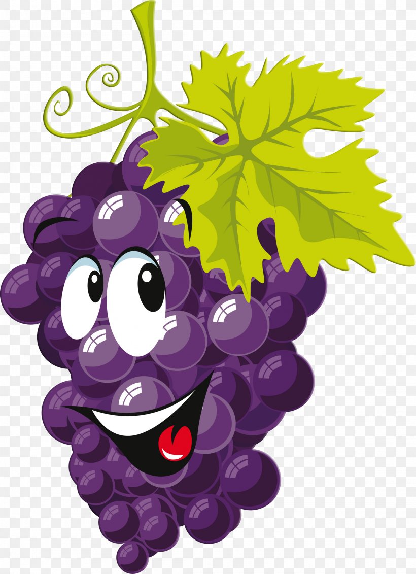 Grape Drawing Cartoon Clip Art, PNG, 2278x3143px, Grape, Art, Cartoon, Drawing, Flowering Plant Download Free