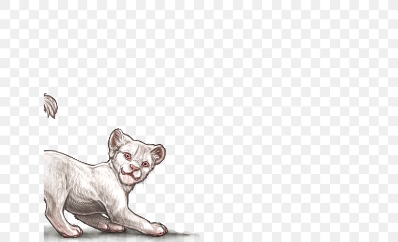 Lion Felidae Cat Dog Kitten, PNG, 640x500px, Lion, Albinism, Animal, Big Cat, Big Cats Download Free