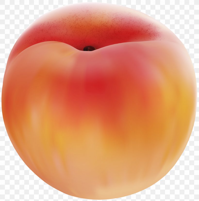 Peach Fruit Clip Art, PNG, 5947x6000px, Peach, Apple, Auglis, Carambola, Cartoon Download Free