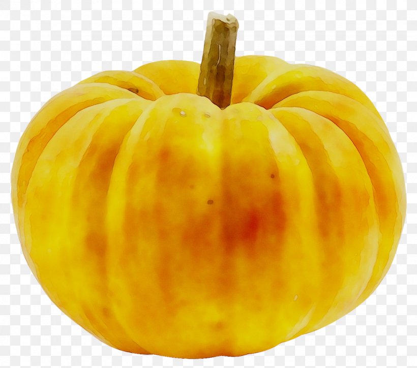 Pumpkin Gourd Calabaza Winter Squash Vegetarian Cuisine, PNG, 1543x1363px, Pumpkin, Acorn Squash, Apple, Calabaza, Cucurbita Download Free