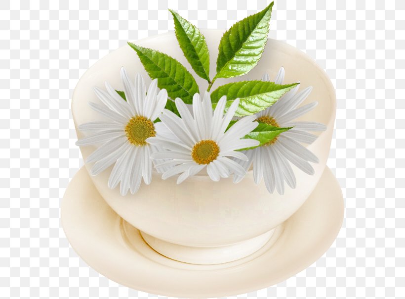 Romashkovoye Greeting Afternoon КМЗ К-1В Cake Decorating, PNG, 576x604px, Romashkovoye, Afternoon, Cake, Cake Decorating, Daisy Download Free