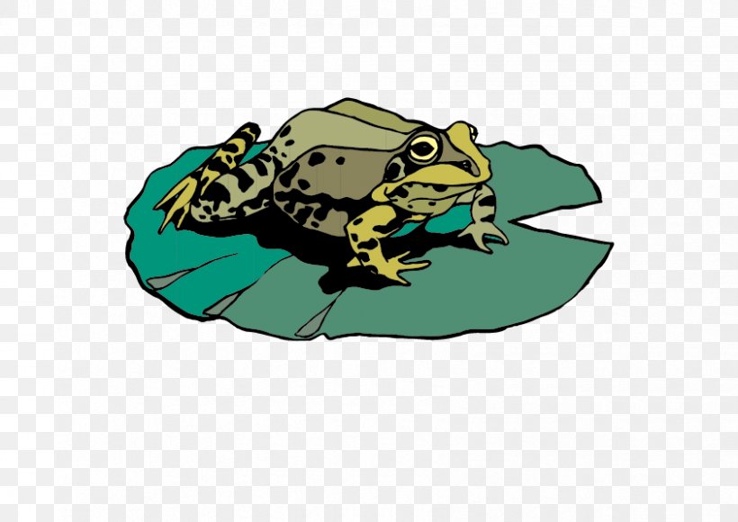 Amphibian Frog Mallard U4e16u754cu91ceu751fu52a8u7269 Duck, PNG, 842x596px, Amphibian, Animal, Brand, Cartoon, Cutaneous Respiration Download Free