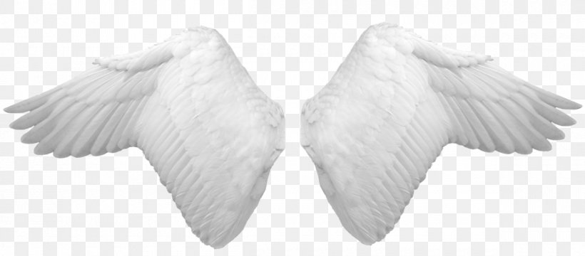 Clip Art, PNG, 1200x527px, Data, Angel Wing, Beak, Black And White, Computer Graphics Download Free