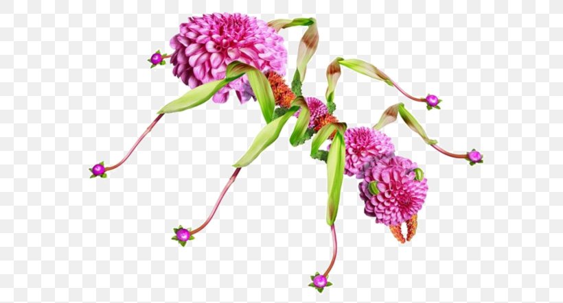 Floral Design Ant Flower Photography, PNG, 600x442px, Floral Design, Ant, Cut Flowers, Flora, Floristry Download Free