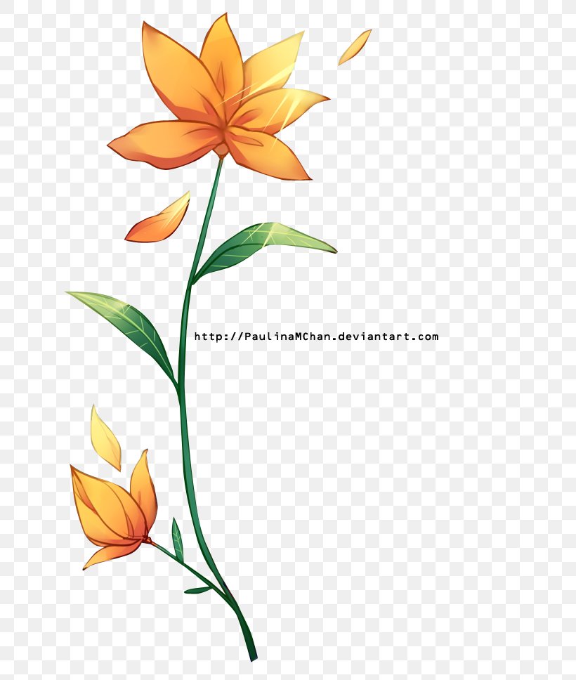 Flower Rendering Floral Design, PNG, 686x968px, Flower, Art, Cut Flowers, Deviantart, Flora Download Free