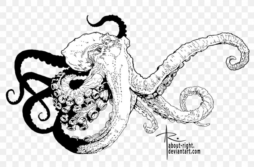 Octopus Line Art Drawing Visual Arts, PNG, 1024x674px, Octopus, Art, Artwork, Black And White, Body Jewellery Download Free