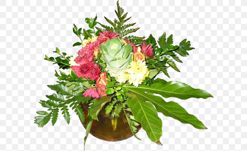 Plant Cut Flowers Rose Shrub Kingdom, PNG, 600x503px, Plant, Bit, Botany, Cut Flowers, Floral Design Download Free